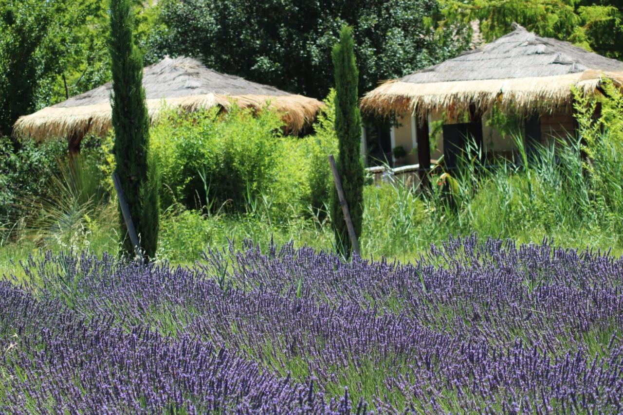 סריאן Lavand'Ange Et Spa מראה חיצוני תמונה