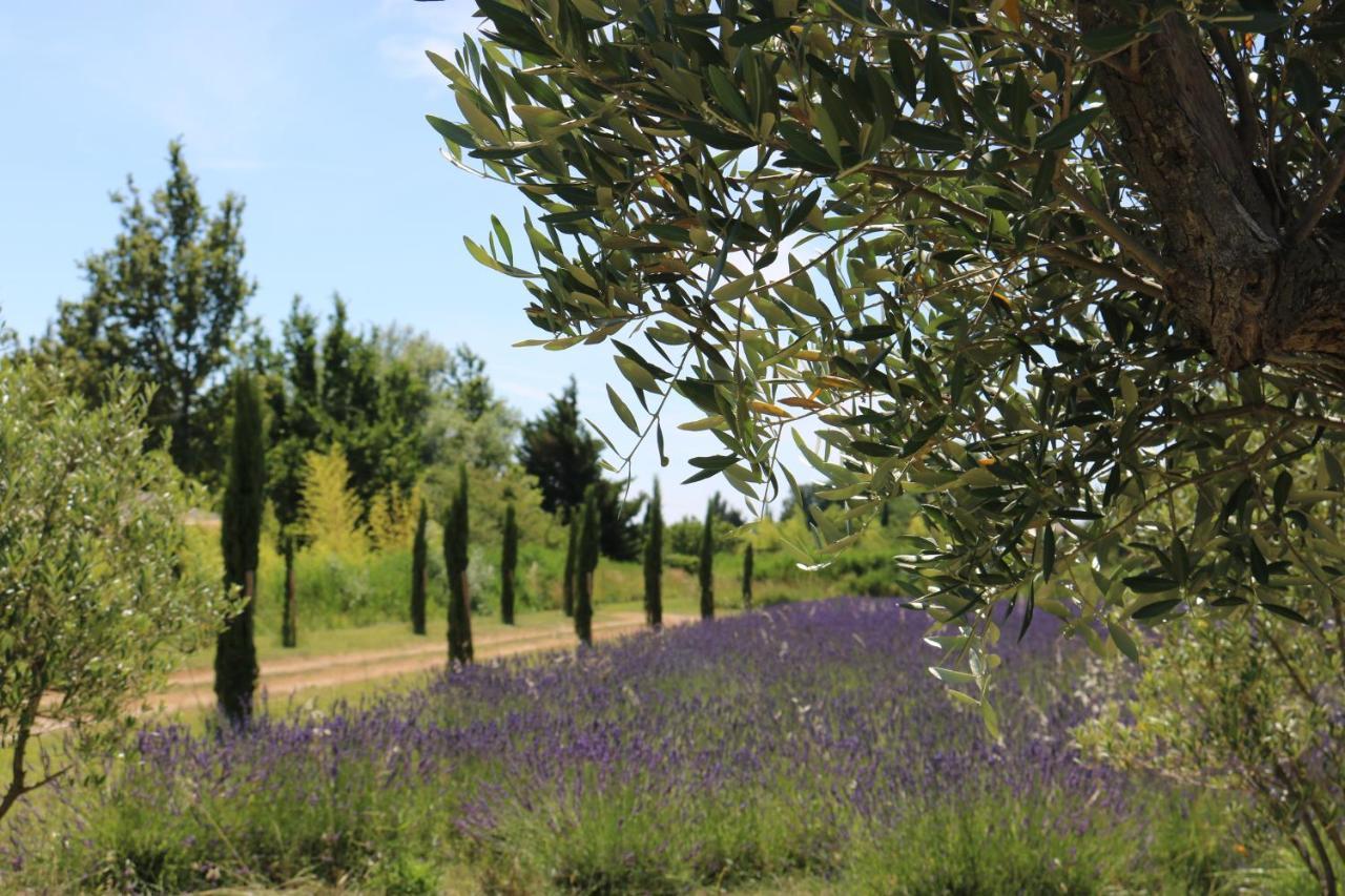 סריאן Lavand'Ange Et Spa מראה חיצוני תמונה
