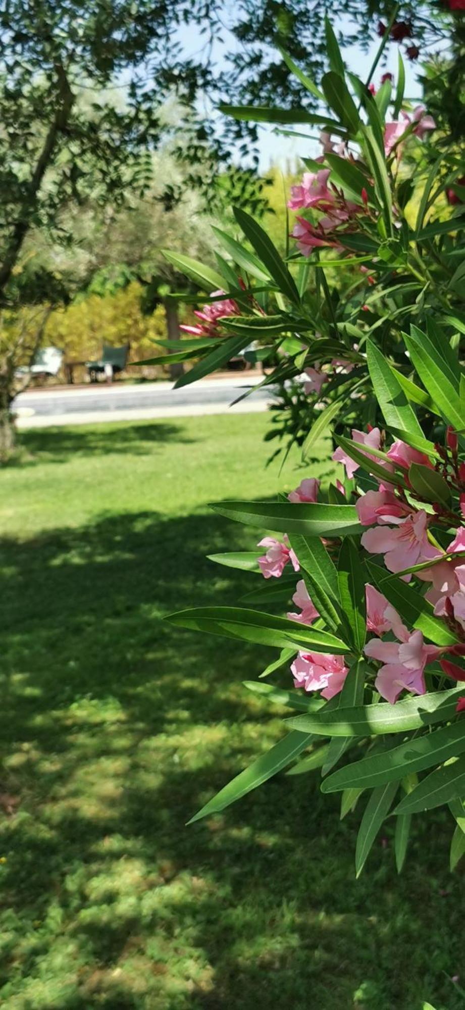 סריאן Lavand'Ange Et Spa מראה חיצוני תמונה