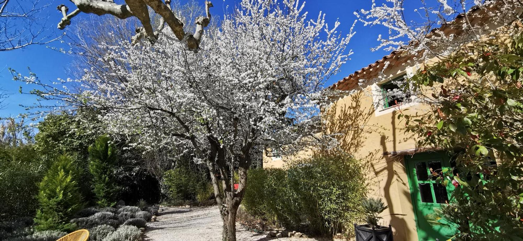 סריאן Lavand'Ange Et Spa מראה חיצוני תמונה