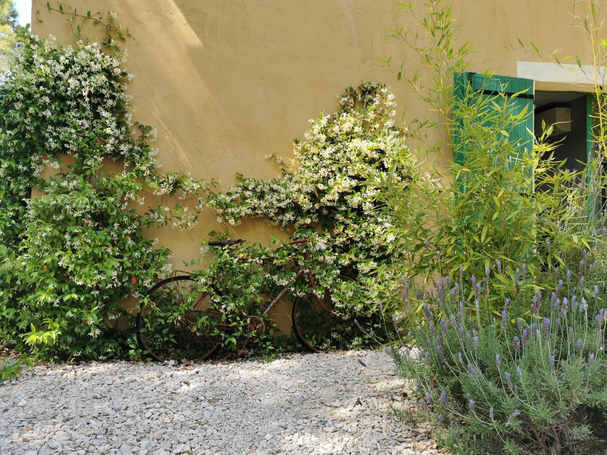 סריאן Lavand'Ange Et Spa מראה חיצוני תמונה