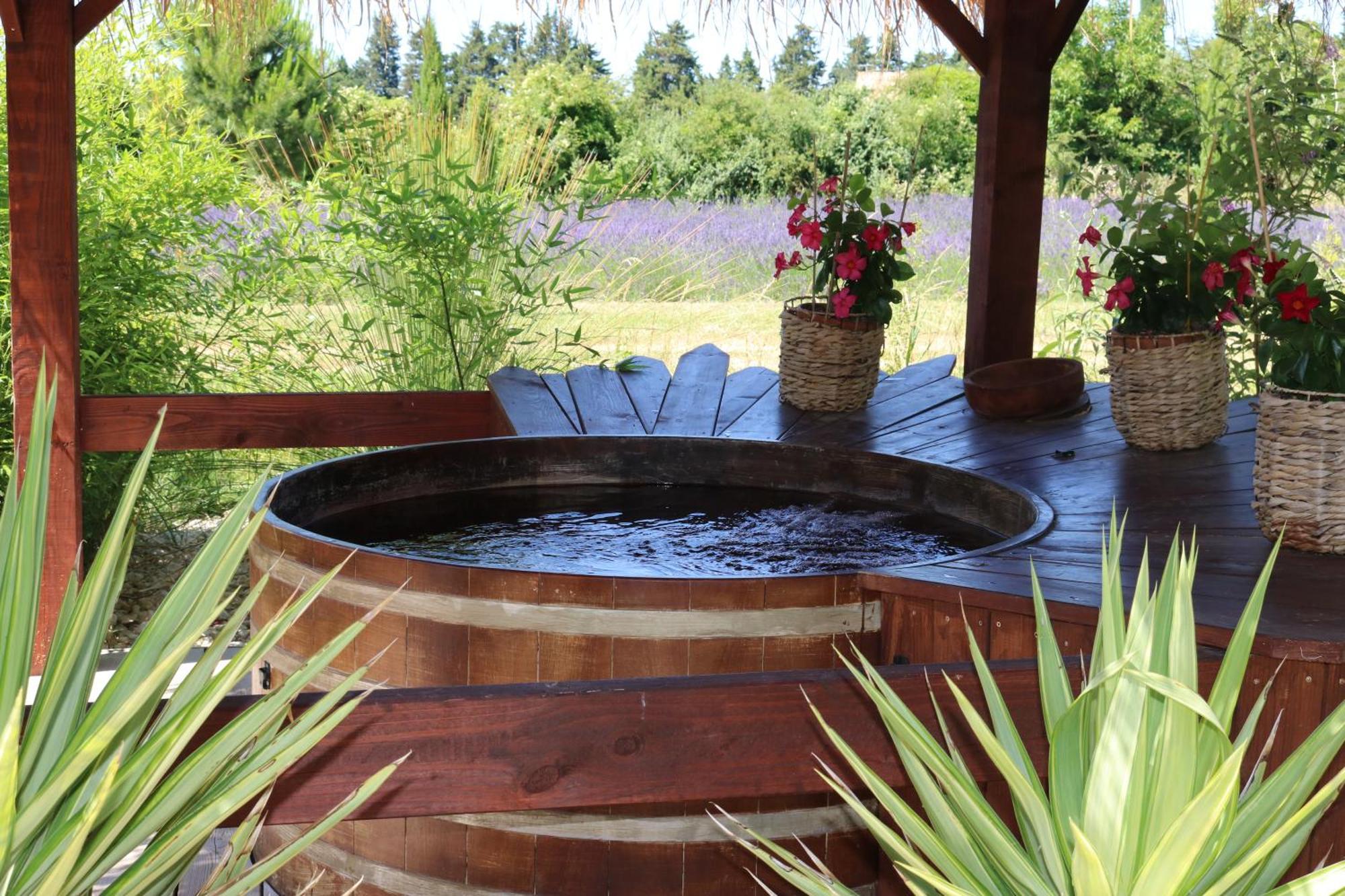 סריאן Lavand'Ange Et Spa מראה חיצוני תמונה