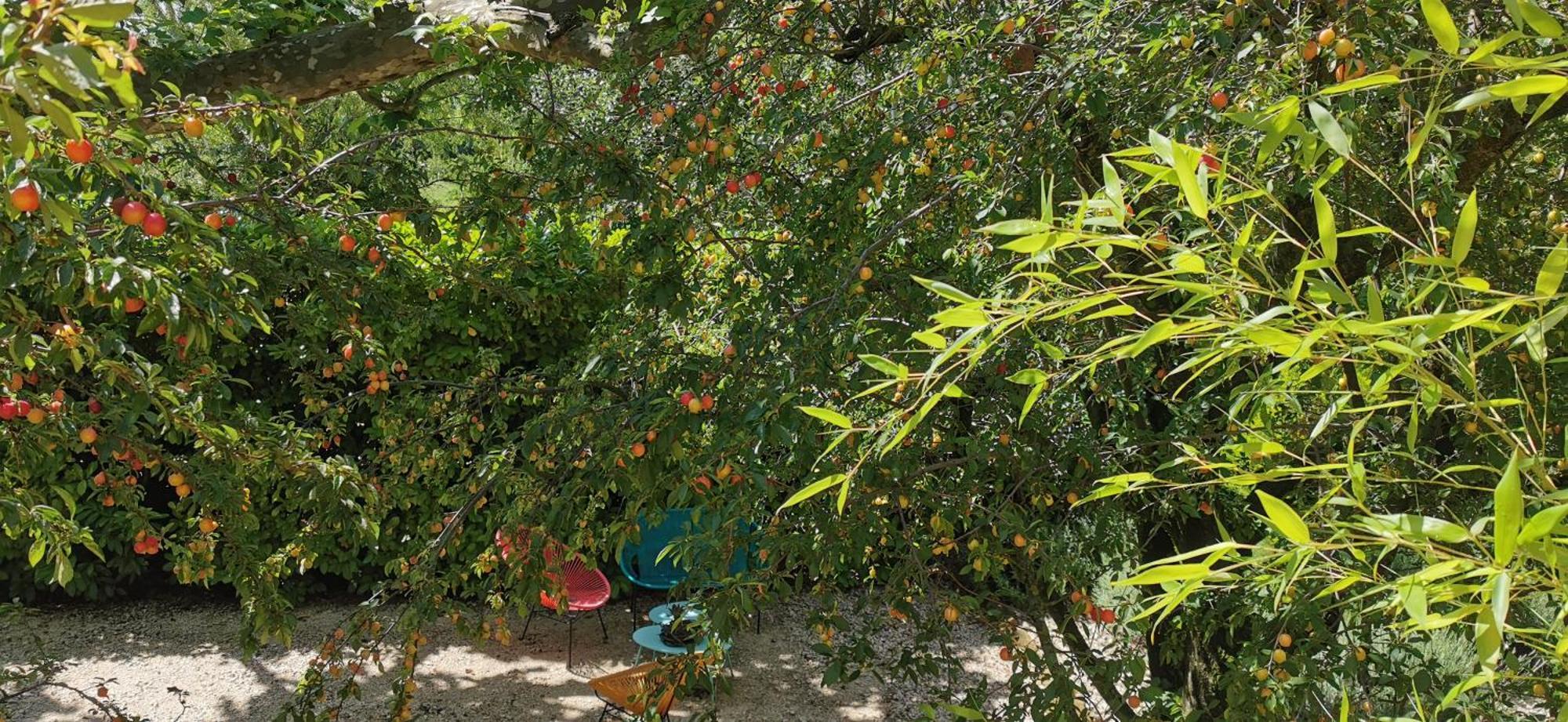 סריאן Lavand'Ange Et Spa מראה חיצוני תמונה